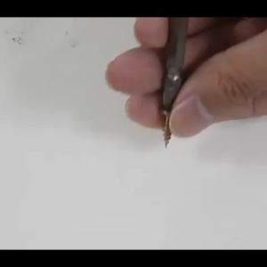 Penutup kepala baut Sekrup Sampul yang indah sekrup penutup dekoratif 100pcs