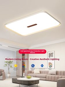 RUILUO | Full Spectrum Eye Protection Ceiling Light