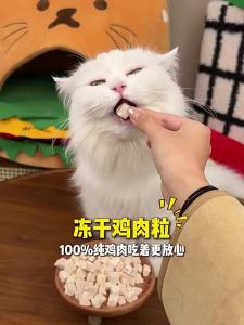 7o | All-Age Chicken Freeze-Dried Cat Snacks
