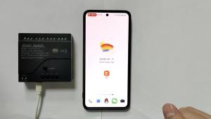 Tuya Wifi Switch 4 Kênh Bộ Thu RF433 Nhà Thông Minh AC/DC 7-32V Tương Thích Với Alexa Google Home Để Điều Khiển Bằng Giọng Nói