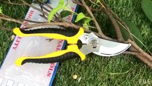 Multifunctional Branch Pruning Tools Stainless Steel Horticultural Fruit Pruning Machine Garden Grafting Shears Anti Slip and Labor-saving Hand Shears