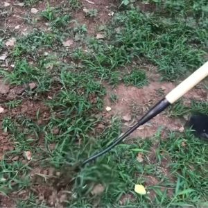 Pacul Cangkul Berkebun Alat Berkebun Cangkul Stainless Untuk Menanam Tanaman Dan Sayuran