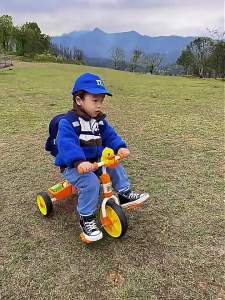 Les Stroller Small Yellow Duck Childrens Tricycle 3-6 Year-Old Baby Bicycle 1-3 Year-Old Bicycle 2 Year-Old Walking Car Balance Car