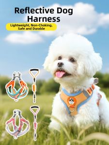 VOA | Dog Leash and Chest Harness for Small and Medium Dogs