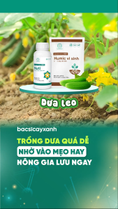 BS15 Nuti Ra Hoa Đồng Loạt Tăng Đậu Trái Cho Cây Trồng 250ml 500ml - Bác Sĩ Cây Xanh