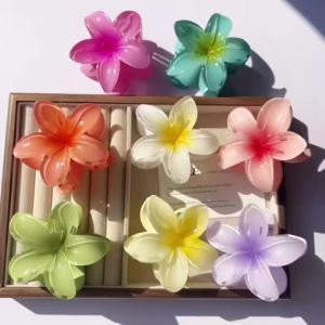 6pcs Colorful Gradient Flower Hair Clip / Hawaiian Plumeria Flower Hair Clips / Vacation Beach Style Hairpins Hair Accessories