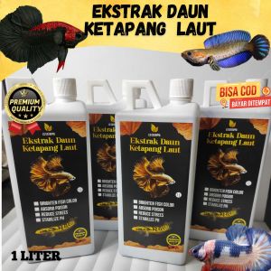 Ekstrak Daun Ketapang Kemasan 1 Liter Pekat Alami Hasil Fermentasi Kualitas Premium