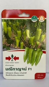 ศรแดง พริกหยวก มณีกาญจน์ 02/01/2570 จำนวน 150 เมล็ด ศรแดง เมล็ดพันธุ์ ลอตใหม่ งอกดี ผลสีเขียวอ่อน ติดผลดก ผลผลิตสูง