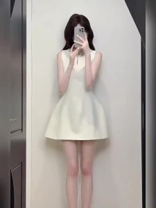 CHANGTONG | Elegant Petite French Style Waist-Cinching Dress