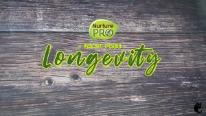 Nurture Pro Longevity Grain Free Cat Canned Wet Food 80G
