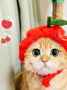 Adorable Creative Apple Plush Pet Hat Cat Dog Costume Change Photography Headwear Small Medium Size English Short Hair