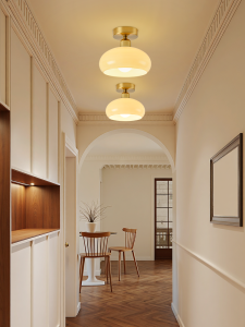DGY | Simple Modern Ceiling Light