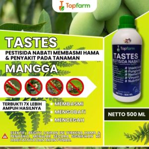Obat Pembasmi Hama Mangga / Obat Semprot Hama Pohon Mangga / Obat Semprot Untuk Buah Mangga / Obat Semprot Hama Daun Mangga / Obat Mangga Anti Perontok
