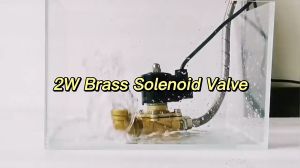 2W Electric Solenoid Valve 12V 24V 220V One Way Brass Normally Closed Solenoid-Valve For Water Air Fuels Gas Oil