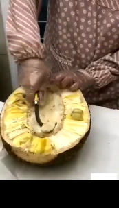 พร้อมส่ง!! มีดแกะเม็ดขนุน ทรงโค้งมน รับกับแกนขนุน ขนาด 2.2 x 20.5 ซม มีดคว้าน ขนุน มีดปอกขนุน มีดคว้านแกนขนุน มีดคว้านไส้ขนุน มีดปอก ทรงโค้งมนพิเศษ ที่แกะขนุน