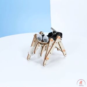 DIY Handmade Science STEM Kit: DIY Reptile Robot: Educational Science Toys: STEM Kids Toys - Physics Science theory