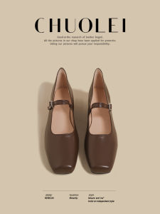 CHUOLEI | Spring French Style Comfortable Vintage Mary Jane Shoes Brown