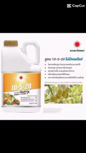 ปุ๋ยน้ำ10-5-20 แกลลอน 5L (ดวงตะวันเพชร)