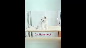 Ultra Soft Cat Window Hammock Bed Securely Mounted Space Saving Cat Perch Ideal for Feline Naptime Top Pet Accessories for Cats