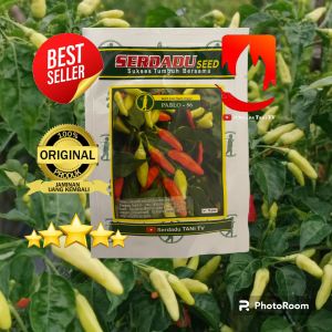 Benih Cabai Rawit PABLO 86 10gr. serdadu seed