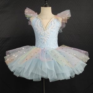 Princess Style Ballet Skirt Childrens Puffy Dance Outfit Professional Swan Lake Performance Clothes New Model for Girls