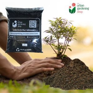2-liter Premium Garden Top Soil for In-Ground Flower Beds