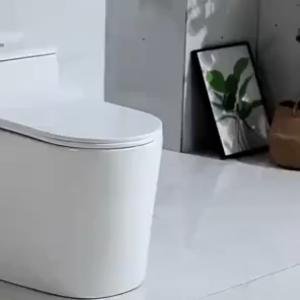 Ceramic Toilet Bowl Set with Water Tank Dual Flush Water Saving Super Vortex Flush Soft-Close Seat Easy-Clean Glaze Bidet Function Bathroom Water Closet