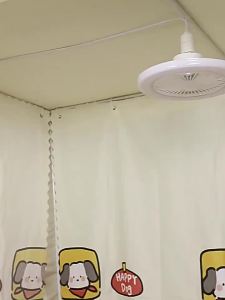 PAIMIJI | Silent Studying Use Ceiling Fan Light Remote Control