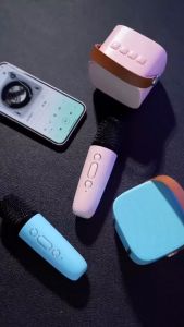 LEOOYI Portable Speaker Amplifier: A Complete Guide