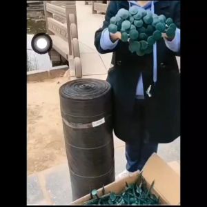 Understanding & Using Agricultural Nails: A Comprehensive Guide