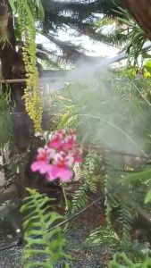 ชุดพ่นหมอก รับประกัน เงียบ หัวพ่นหมอก ทองเหลือง หมอกละเอียดสะใจใช้ปั๊มแรงดัน10บาร์ มีไส้กรอง