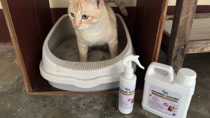 น้ำยาดับกลิ่นฉี่แมว ดับกลิ่นฉี่แมวในกระบะทราย ดับกลิ่นฉี่สุนัข ดับกลิ่นมูลสัตว์เลี้ยง ดับกลิ่นได้ทันที ปลอดภัยต่อสัตว์เลี้ยง 1 ลิตร แถมฟรีขวดสเปรย์