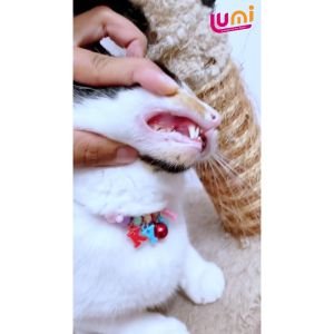 LUMIPET Tetes Mulut Kucing Anjing Sariawan Radang Bau Mulut dan Pembersih Plak Karang Gigi Hewan Perawatan Luka Mulut Secara Alami