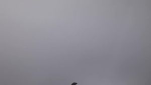 Men's Half Shoes: Casual Rubber Shoes, Leather Half Slippers, Driving Shoes & Versatile Loafers