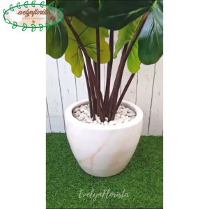 Pohon Imitasi Keladi Giant Taro T120 Pot Keramik Marmer Dekorasi Ruang Tamu
