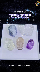 Collectors Grade Auspicious Wealth & Protection Dragon Turtle Pixiu Display (4 Types to Choose)