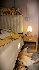 Oraimo Watch 5 Lite Smartwatch OSW-804 2.01 Large Screen Bluetooth Long Battery Life Waterproof Dustproof AMOLED Android Smartwatch Health Watch 100+ Sports Modes IP68