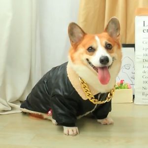 EGG Pet Necklace Fashion Dog Cat Plastic Gold Chain Dog Necklace 35cm/42cm Adjustable length COD