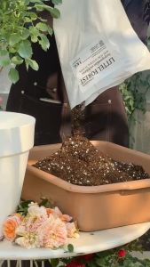 ดินปลูกสูตรพรีเมี่ยม Little forest ผสมปุ๋ยอินทรีย์ มีค่าPHที่เหมาะสำหรับการปลูกพืช ดอกกุหลาบ ดอกไม้กระถาง 1ถุง8L