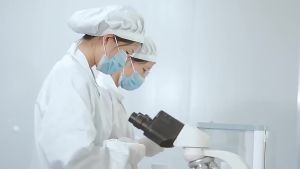 Sea Mushroom   Capsule  Sea moss Mushroom capsules  Source Manufacturer   Cross-Border Direct Supply