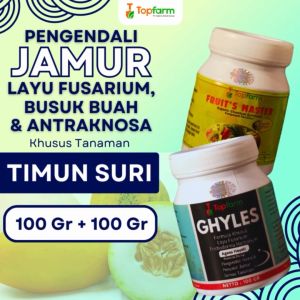 Fungisida Topfarm untuk Tanaman Timun Suri
