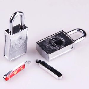 Multiple Fields Are Opened Using Magnetic Induction Magnetic Lock Access Control Magnetic Lock for Doors Super Magnets Lock