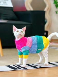 Y·H Dopa Trend Gradient Rainbow Thick Needle Sweater German Short Hair Cat Clothes Winter Warmth Thickened Pet Fashion