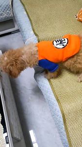 Baju Kucing Anjing Lucu Kartun Pakaian Hewan Peliharaan Pakaian Musim Panas Semi Murah T-shirt