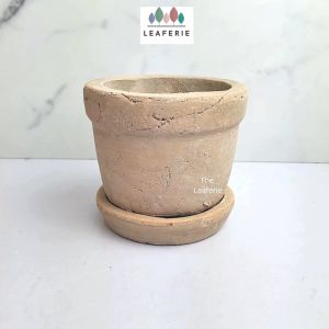 The Leaferie Yaritza Terracotta plant pots with tray flowerpot flowerpots flower planter planters