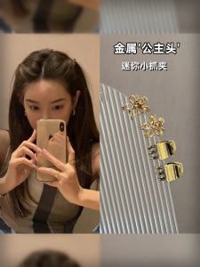 Mini Metal Princess Hair Clips High-End Feeling New Side Bun Flower Hairpin for Women in Alloy Silver Plated Gold Plated