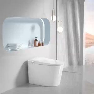 Ceramic smart toilet built-in water tank automatic flap automatic flush female cleaning drying anti-virus