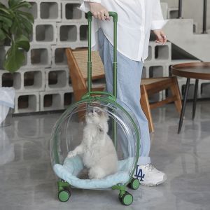 Silent & Stable Pet Trolley Case: A Comprehensive Guide