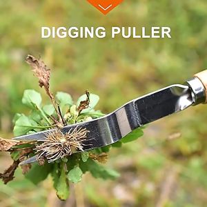 Alat Pencabut Rumput Liar Stainless Steel 12in Akar Tanaman Liar Manual Untuk Berkebun Garden Tool