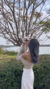 Amzyme แอมไซม์ แชมพู จากสารธรรมชาติ สำหรับผิวแพ้ง่าย ความเหมาะสมสำหรับบริเวณหนังสือและหน้า